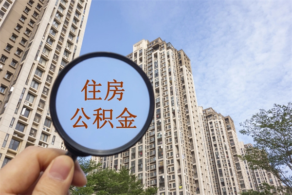 济源辞职多久公积金可以全部取出来吗（辞职之后公积金多长时间可以取）